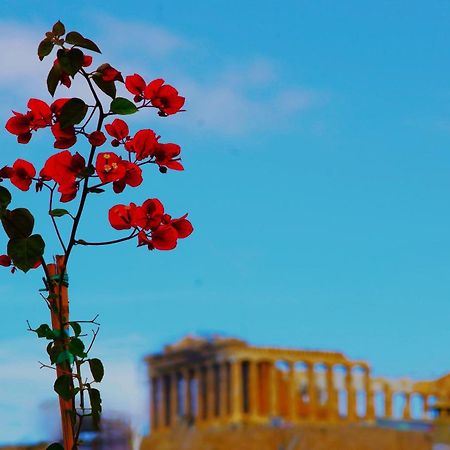 Absolute Athens Acropolis View Aparthotel Exterior photo