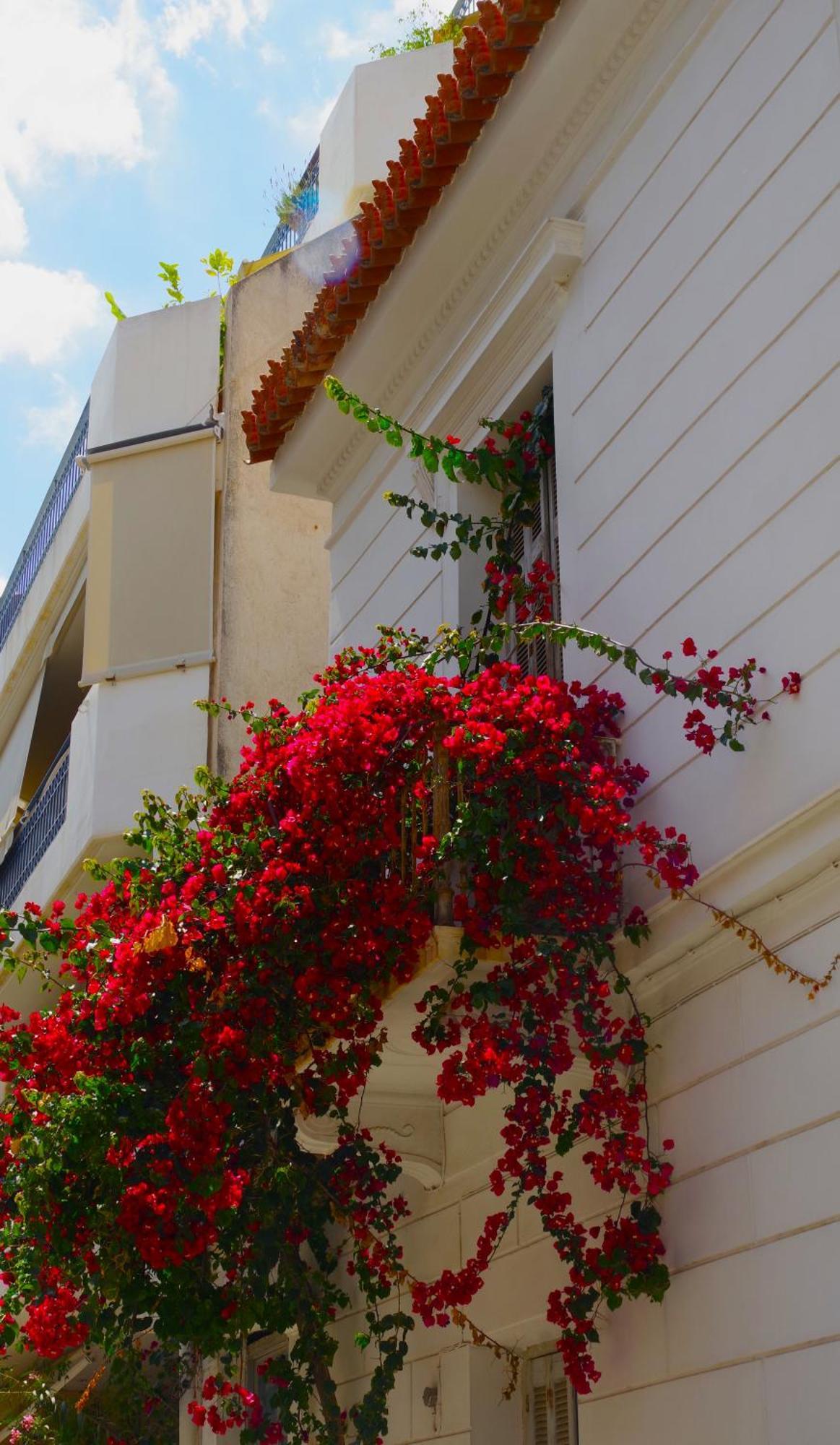 Absolute Athens Acropolis View Aparthotel Exterior photo